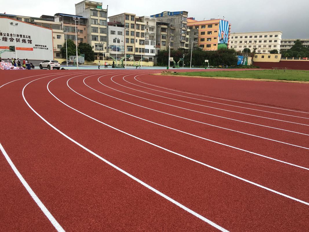 安阳市塑胶跑道塑胶跑道材料 - 方案